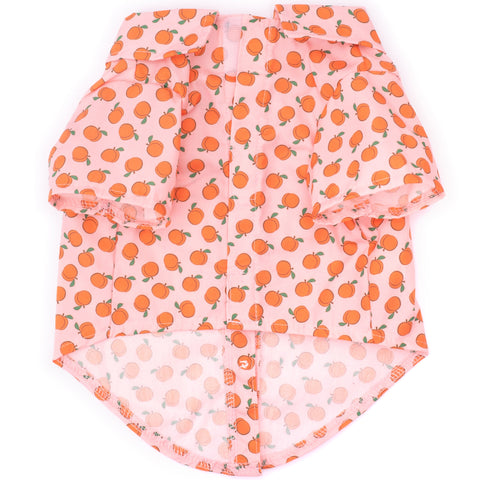 The Worthy Dog Peachy Keen Shirt | Back Image of Orange Peach Shirt