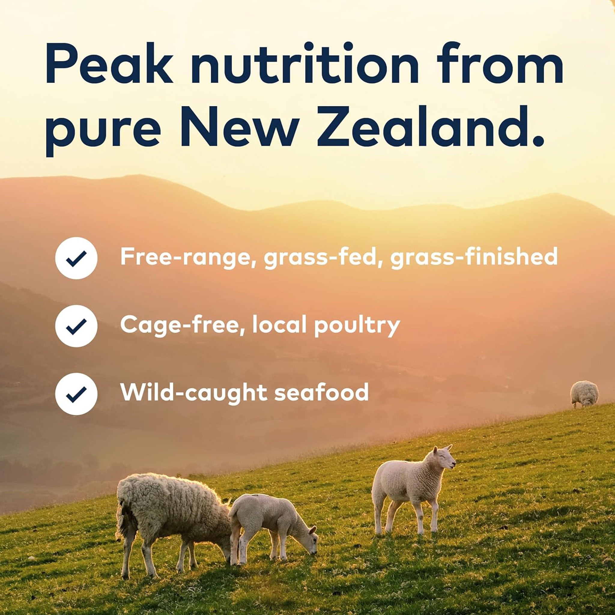 Ziwi Peak Steam & Dried Lamb Dog Food – HEALTHY SPOT