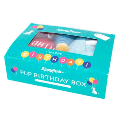 Zippy Paws Blue Birthday Box Dog Toys