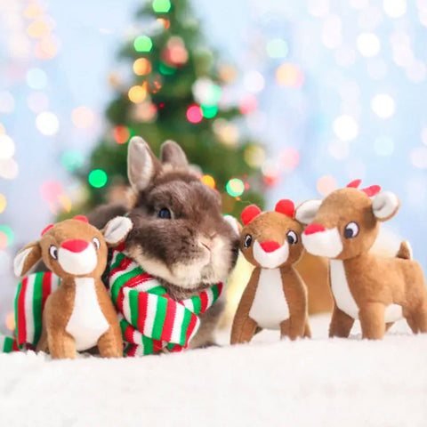 Zippy Paws Miniz Reindeer Dog Toy | Lifestyle Image of Bunny with Three Mini Plush Reindeer