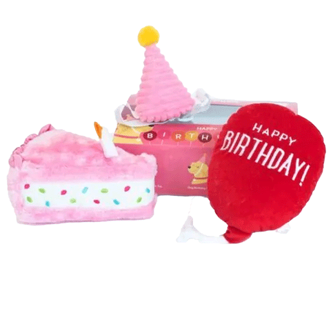 Zippy Paws Pink Birthday Box Dog Toys