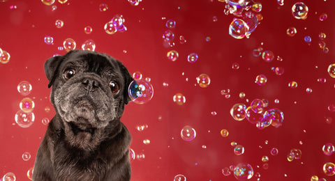 SHOP BLACK FRIDAY DEALS