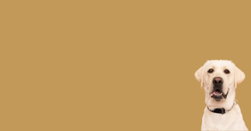 15% OFF YOUR FIRST ORDER