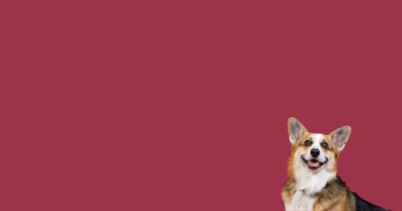 $10 REWARD WITH A $75+ PURCHASE