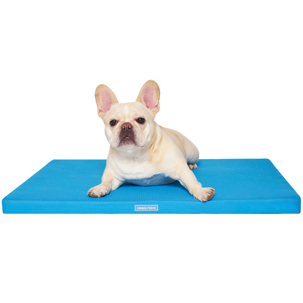 Canada Pooch Chill Out Blue Cooling Mat – HEALTHY SPOT