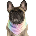 Canada Pooch | Cooling Rainbow Dog Bandana | Small Dog - Product