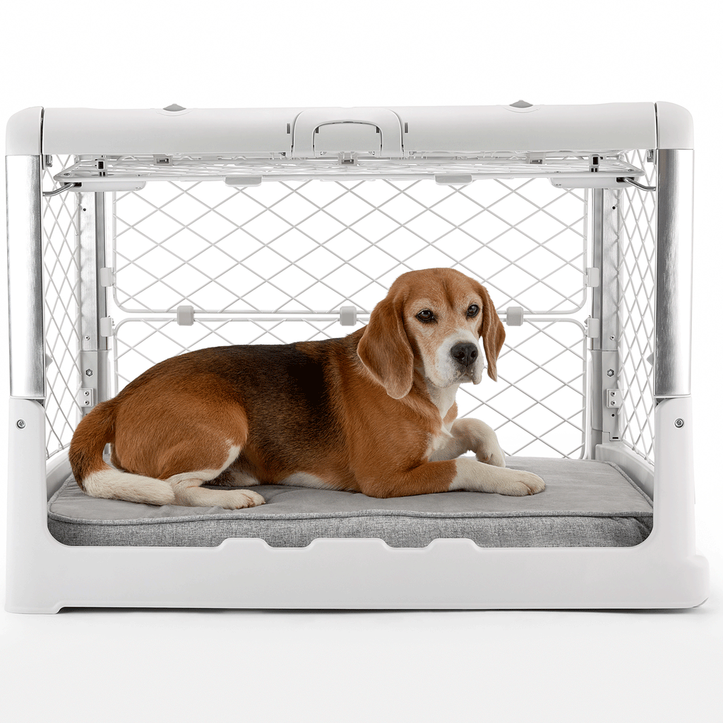 Diggs revol crate online