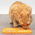 Hyper Pet | Boredom Busters Indulge Orange Dog & Cat Lick Mat | Cat Lifestyle Image