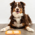 Hyper Pet | Boredom Busters Indulge Orange Dog & Cat Lick Mat | Dog Lifestyle Image
