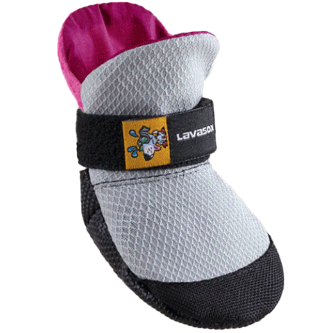 Lavasox Sorbet Urban Dog Booties, Front Image of Gray and Pink Pet Shoe