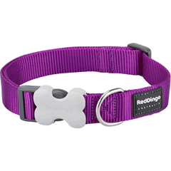 Red Dingo Purple Bucklebone Classic Dog Collar