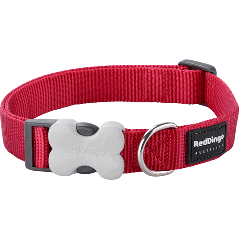 Red Dingo Red Bucklebone Classic Dog Collar, Front Image of Red Collar with Gray Bone Buckle