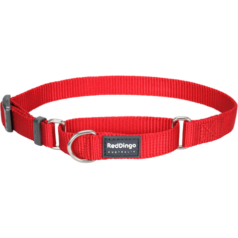 Red Dingo Red Classic Martingale Dog Collar