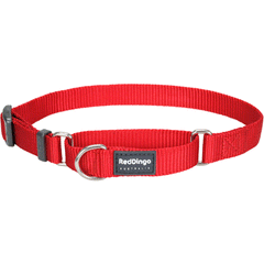 Red Dingo Red Classic Martingale Dog Collar