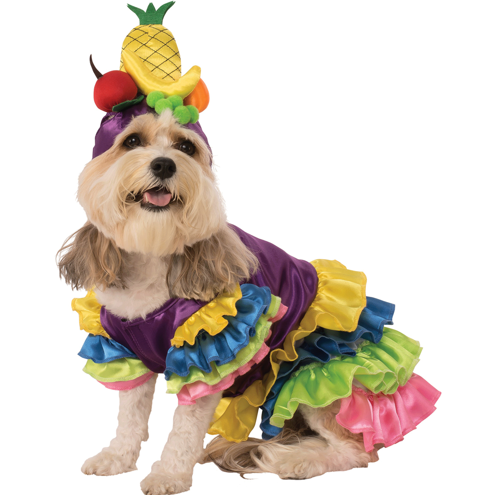 Rubie s Pet Shop Boutique Dog Brazilian Bombshell Halloween