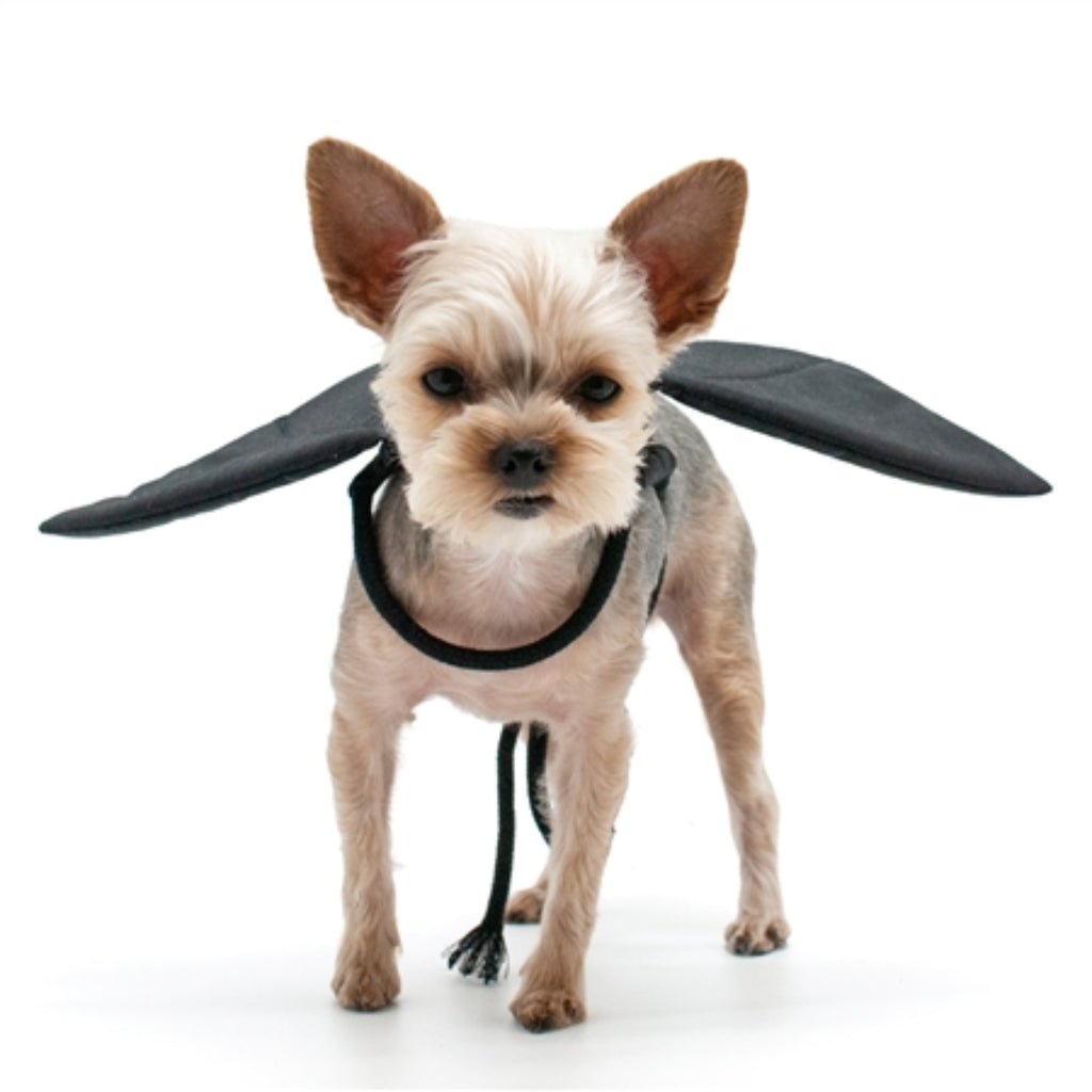 Dogo Pet Fashions Bat Wings Dog Costume