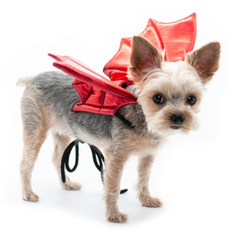 Dogo Pet Fashion Fire Dragon Wings Dog Costume