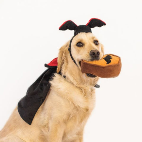 Zippy Paws Halloween Costume w/Toy Dracula Dog Toys